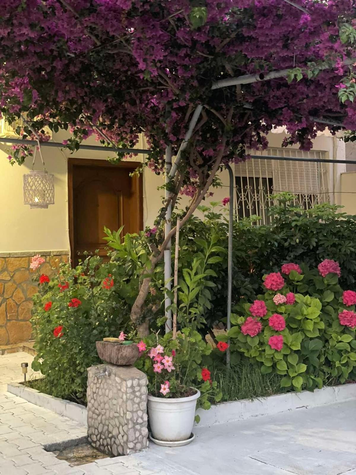 Apartments Athina Orikum Extérieur photo